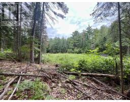 1011 Mcgrath Road, Bonnechere Valley, ON K0J1T0 Photo 10