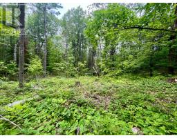 1011 Mcgrath Road, Bonnechere Valley, ON K0J1T0 Photo 11