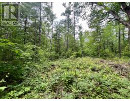 1011 Mcgrath Road, Bonnechere Valley, ON K0J1T0 Photo 12