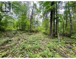 1011 Mcgrath Road, Bonnechere Valley, ON K0J1T0 Photo 13