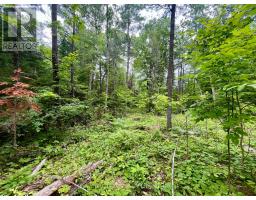 1011 Mcgrath Road, Bonnechere Valley, ON K0J1T0 Photo 14