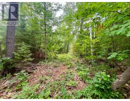 1011 Mcgrath Road, Bonnechere Valley, ON K0J1T0 Photo 15