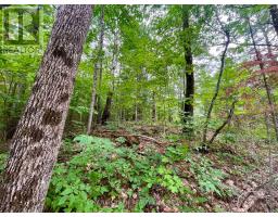 1011 Mcgrath Road, Bonnechere Valley, ON K0J1T0 Photo 16