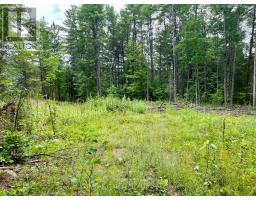 1011 Mcgrath Road, Bonnechere Valley, ON K0J1T0 Photo 17