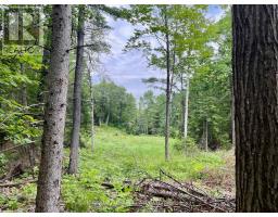 1011 Mcgrath Road, Bonnechere Valley, ON K0J1T0 Photo 18