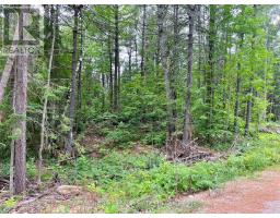 1011 Mcgrath Road, Bonnechere Valley, ON K0J1T0 Photo 19