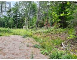 1011 Mcgrath Road, Bonnechere Valley, ON K0J1T0 Photo 20
