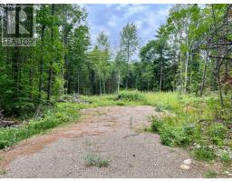 1011 Mcgrath Road, Bonnechere Valley, ON K0J1T0 Photo 23