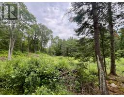 1011 Mcgrath Road, Bonnechere Valley, ON K0J1T0 Photo 24