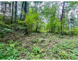 1011 Mcgrath Road, Bonnechere Valley, ON K0J1T0 Photo 25