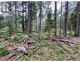 1011 Mcgrath Road, Bonnechere Valley, ON K0J1T0 Photo 26