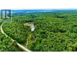 1011 Mcgrath Road, Bonnechere Valley, ON K0J1T0 Photo 30