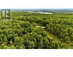 1011 Mcgrath Road, Bonnechere Valley, ON K0J1T0 Photo 34