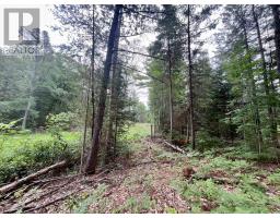1011 Mcgrath Road, Bonnechere Valley, ON K0J1T0 Photo 8