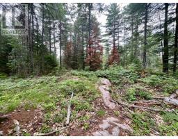 1011 Mcgrath Road, Bonnechere Valley, ON K0J1T0 Photo 9