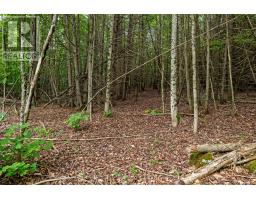 1039 Sunset Strip Lane, Frontenac, ON K0H2J0 Photo 23