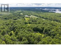0 Highway 7, Marmora And Lake, ON K0K2M0 Photo 6