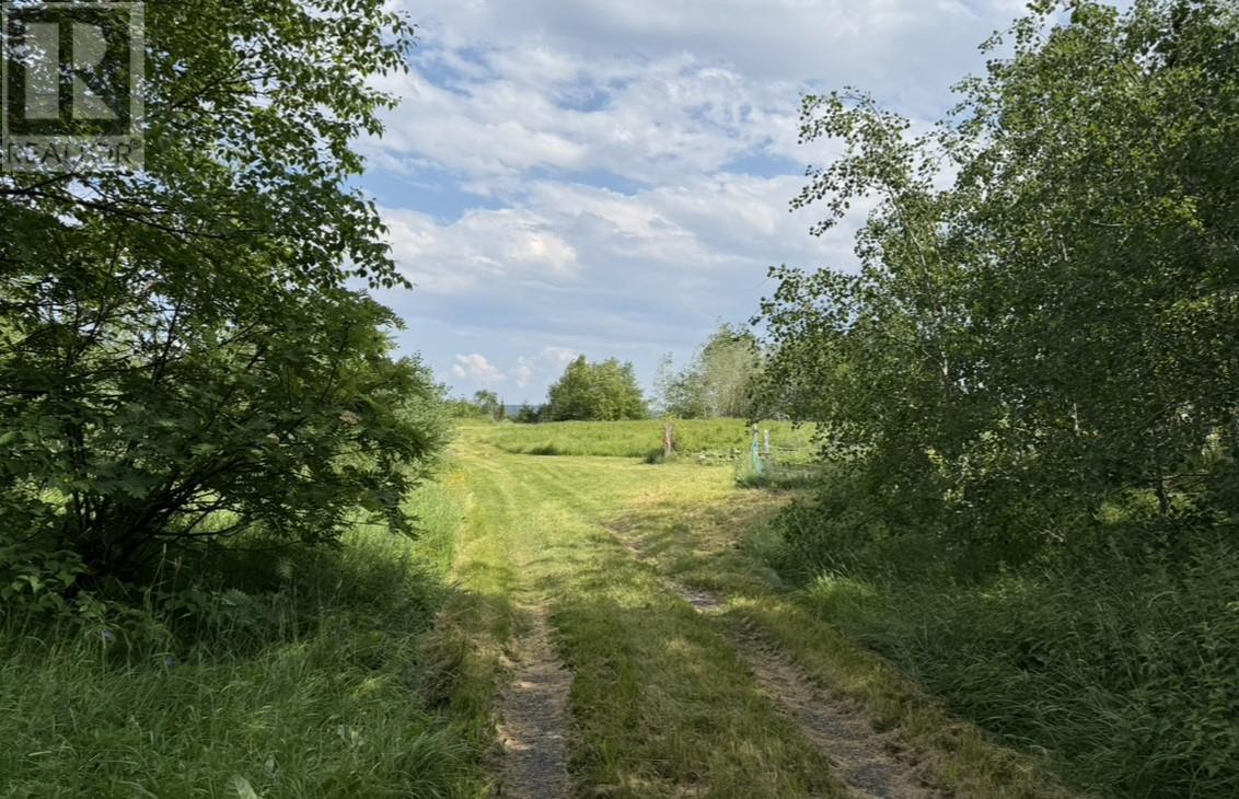 186 Goose Bay Drive thumbnail 4