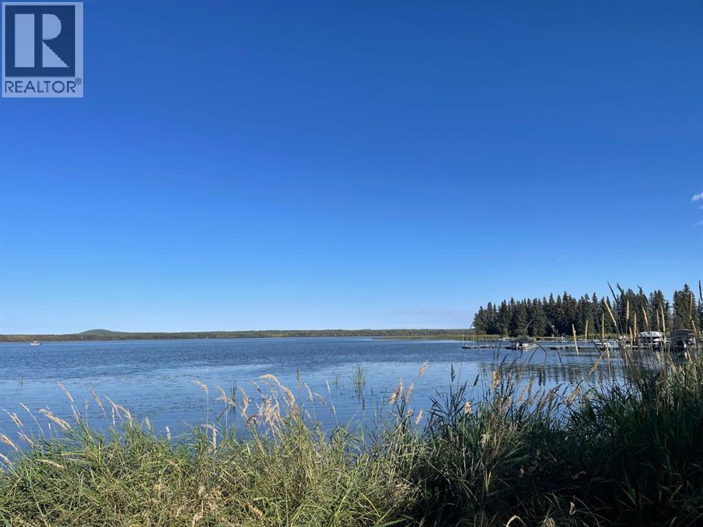 40465015 Range Road 63A - Photo 6