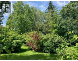 4068 Barclay Rd, Campbell River, BC V9W4Y6 Photo 31