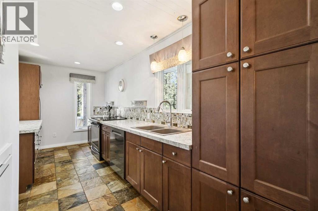 241 Mountain Lion Drive - 13