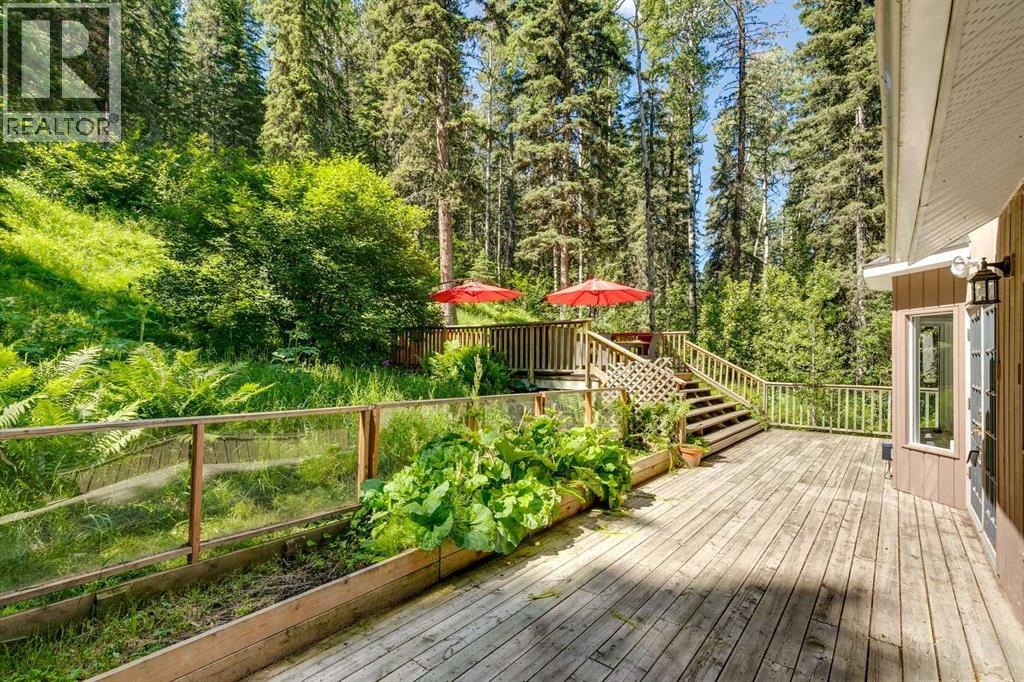 241 Mountain Lion Drive - 37