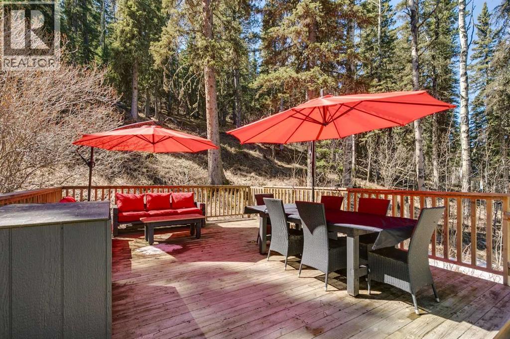 241 Mountain Lion Drive - 39
