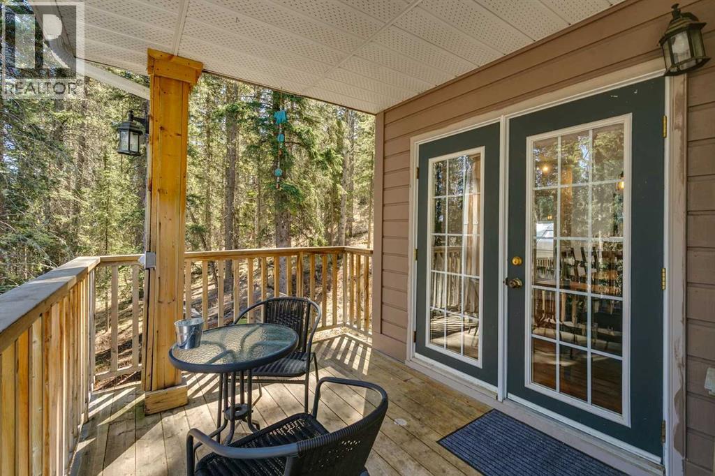 241 Mountain Lion Drive - 4