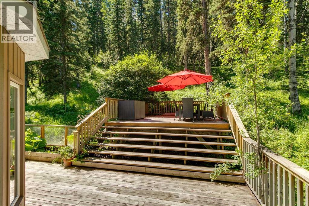 241 Mountain Lion Drive - 38