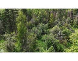 Rr 85, Rural Brazeau County, AB T7A2A3 Photo 10