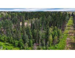 Rr 85, Rural Brazeau County, AB T7A2A3 Photo 12