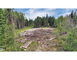 Rr 85, Rural Brazeau County, AB T7A2A3 Photo 14