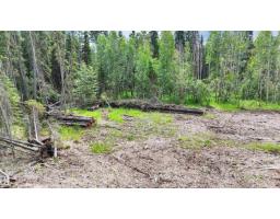 Rr 85, Rural Brazeau County, AB T7A2A3 Photo 15