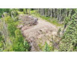 Rr 85, Rural Brazeau County, AB T7A2A3 Photo 16