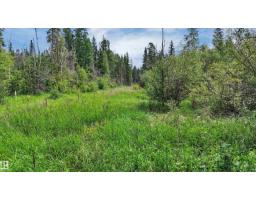 Rr 85, Rural Brazeau County, AB T7A2A3 Photo 21