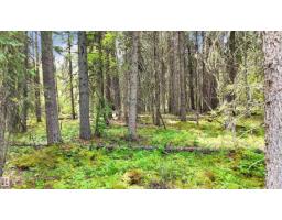 Rr 85, Rural Brazeau County, AB T7A2A3 Photo 22