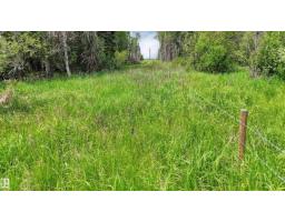 Rr 85, Rural Brazeau County, AB T7A2A3 Photo 23