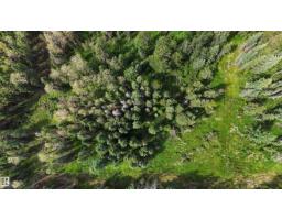Rr 85, Rural Brazeau County, AB T7A2A3 Photo 8