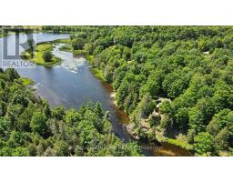 1169 Carson Trail, Frontenac, ON K0G1M0 Photo 38