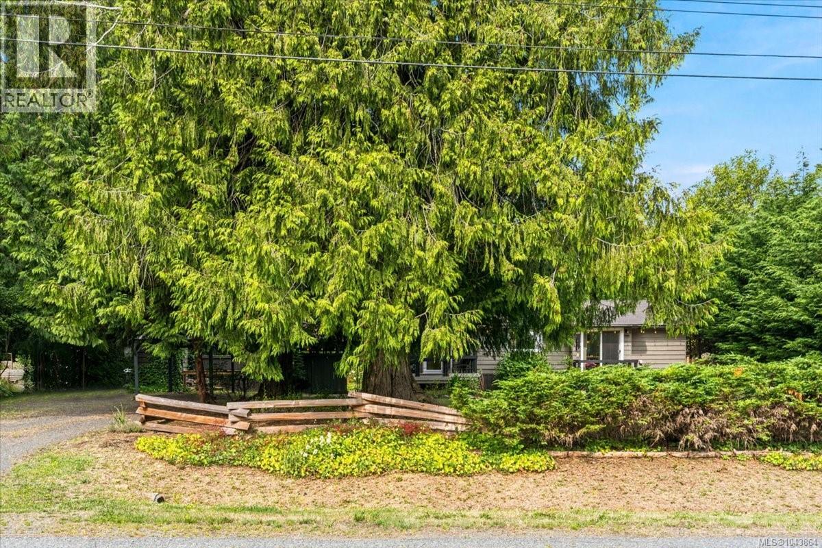381 Dunsmuir Rd - 39