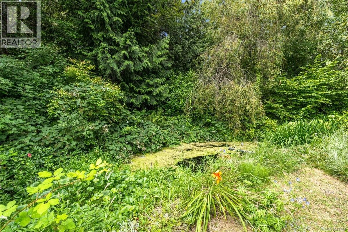 381 Dunsmuir Rd - 62