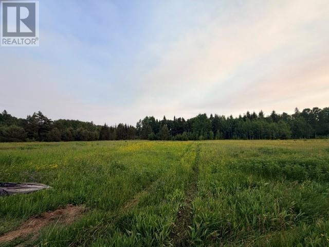 5751 Hwy 61 - 24
