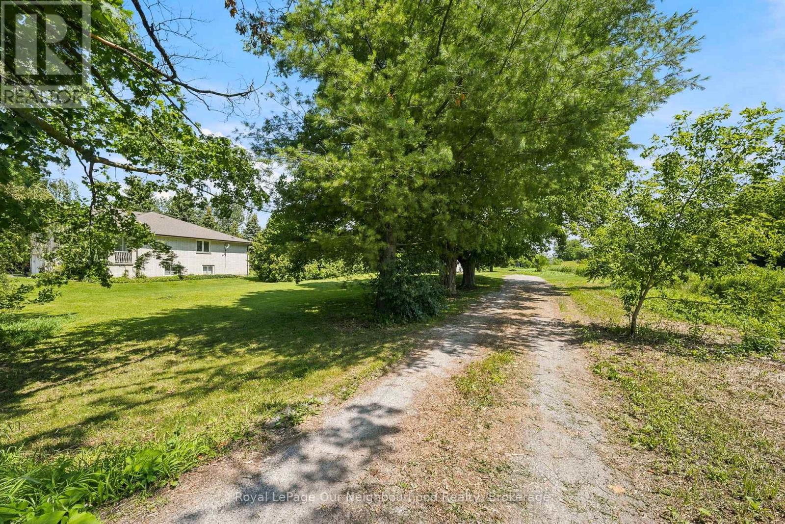4599 TRULLS ROAD - 3