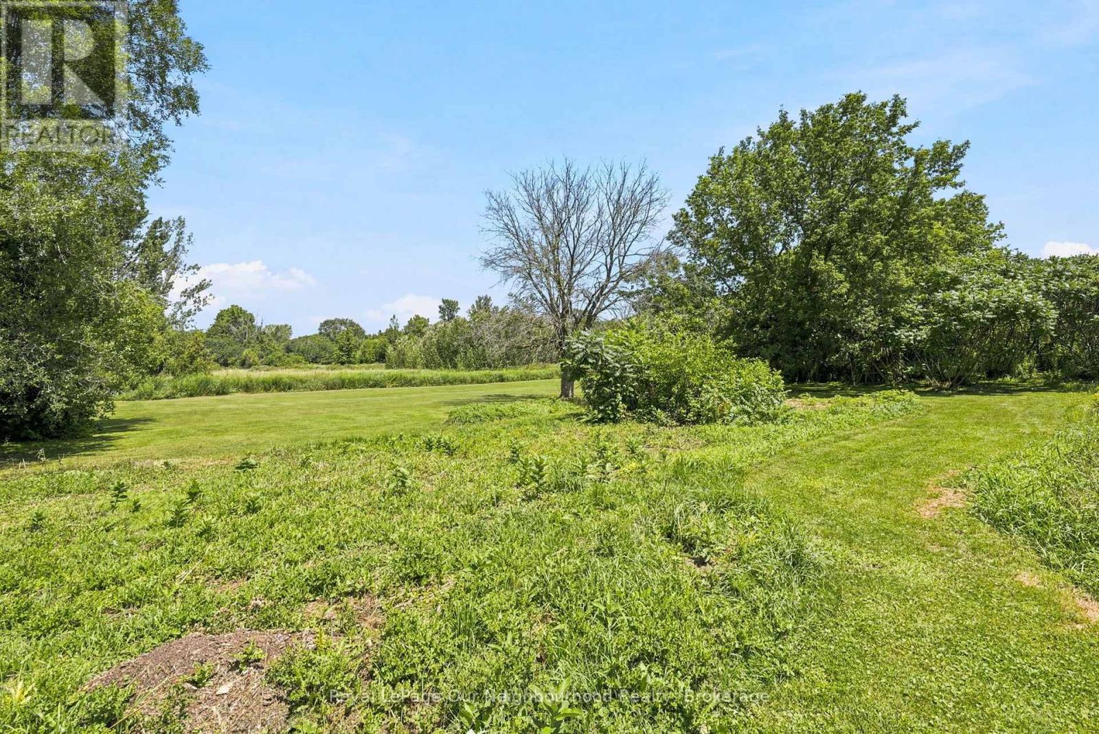 4599 TRULLS ROAD - 14