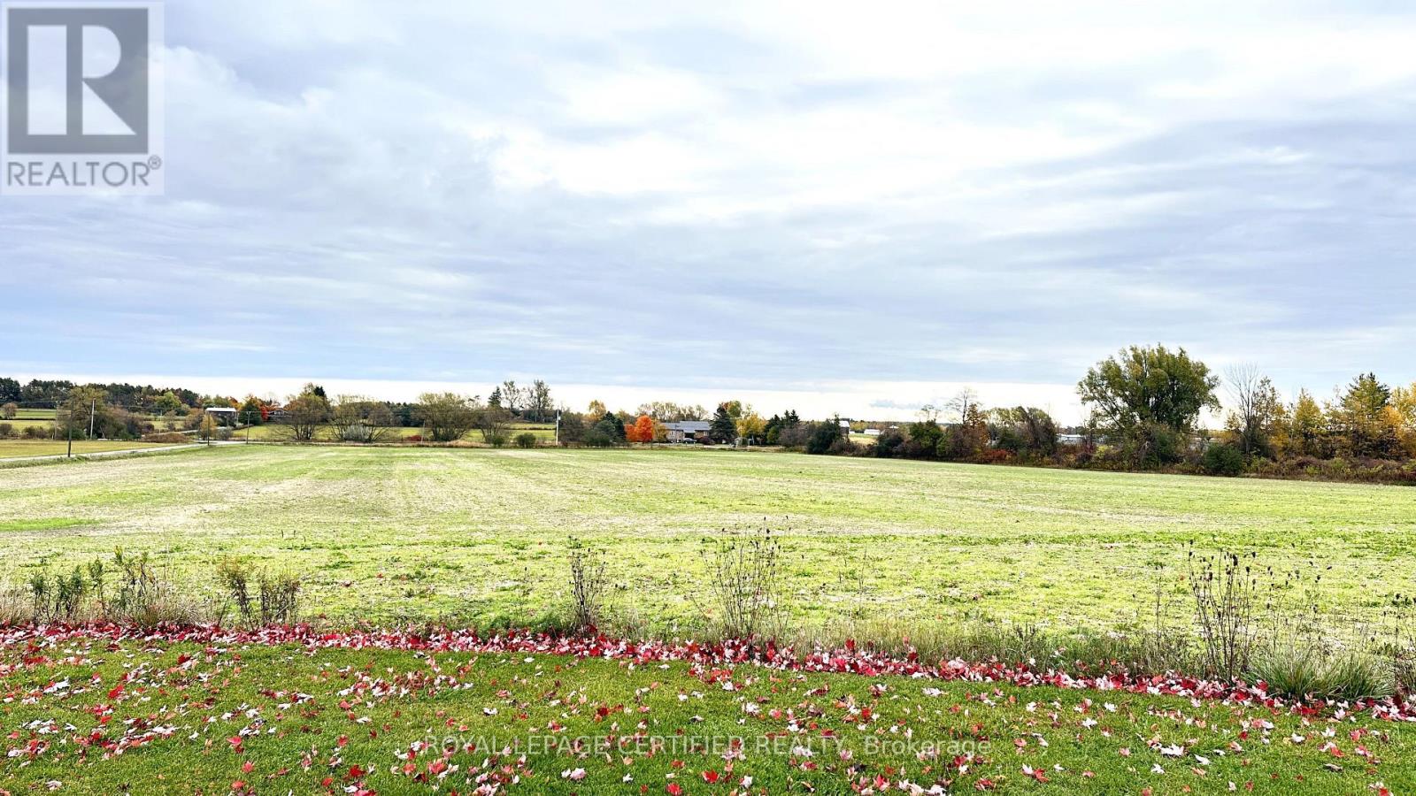 22186 KENNEDY ROAD - 37
