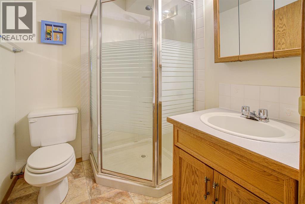 236 54 Avenue E - 43