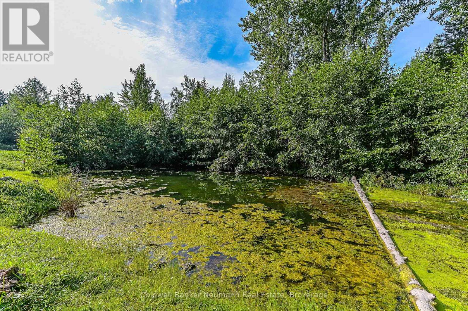 3564 SUMAC STREET - 28