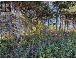 0 Rte 310, Howe Bay, PE C0A2B0 Photo 8