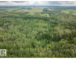 47510 Rge Rd 31, Rural Leduc County, AB T0C2T0 Photo 13