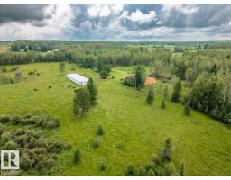 47510 Rge Rd 31, Rural Leduc County, AB T0C2T0 Photo 18